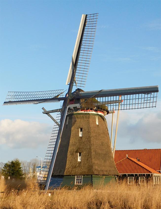 buitenaanzicht molen de otter met blauwe lucht
